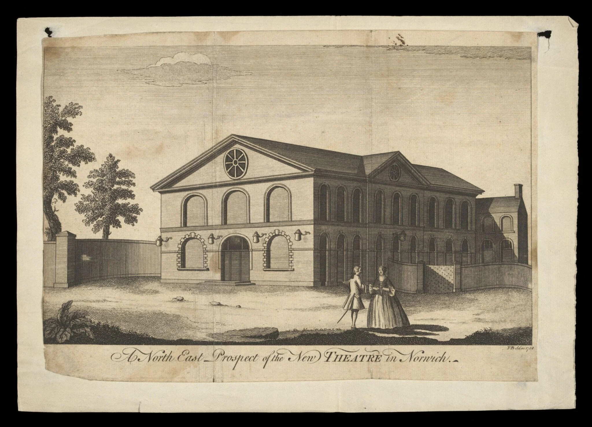 H Beard Print Collection