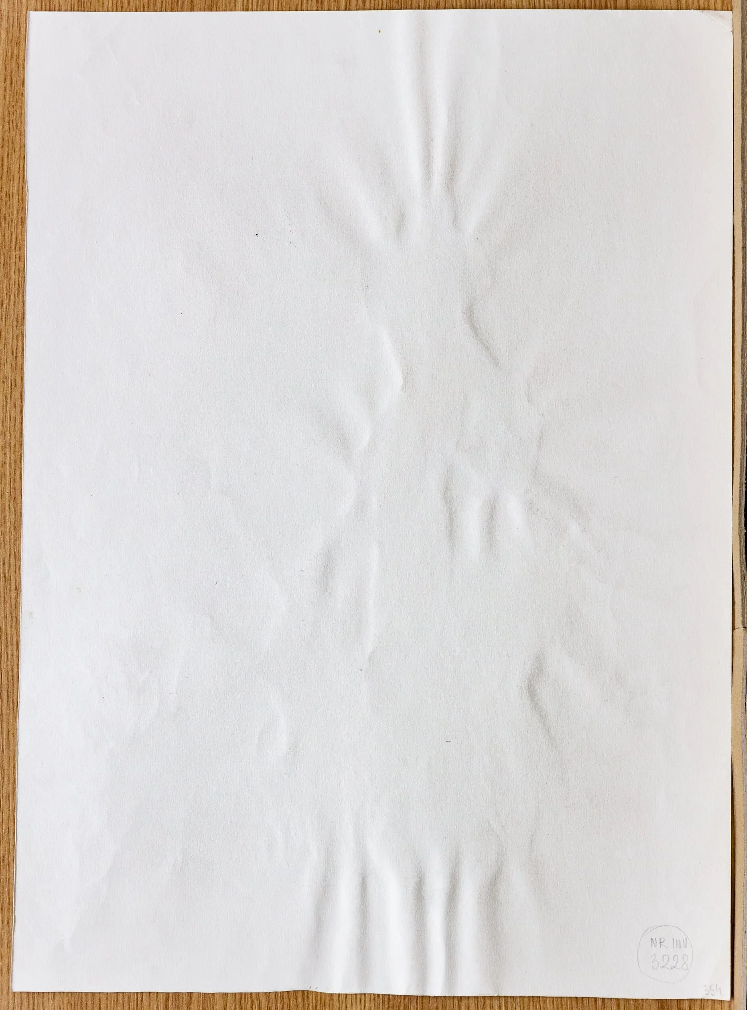 Femeie în palton, by Tiberiu Nicorescu, unspecified