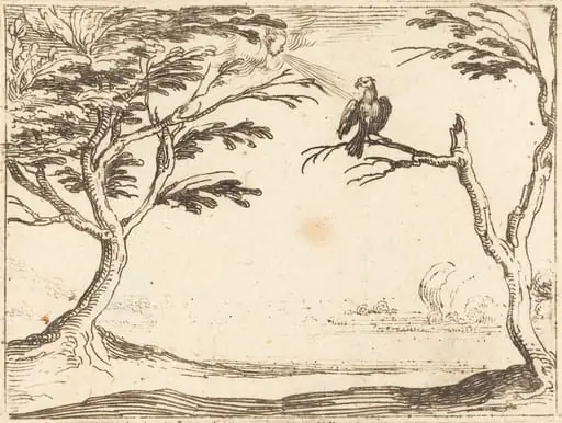 The Vulture