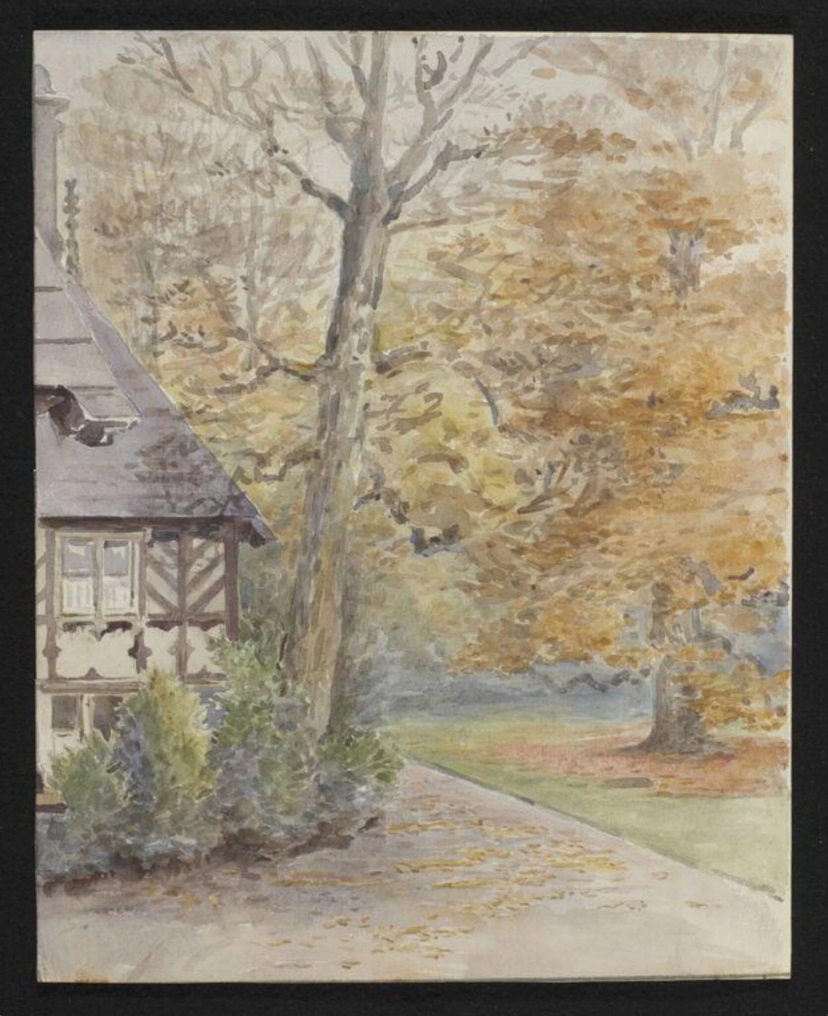 Falling Leaves, by Beatrix Potter, watercolor, 1908