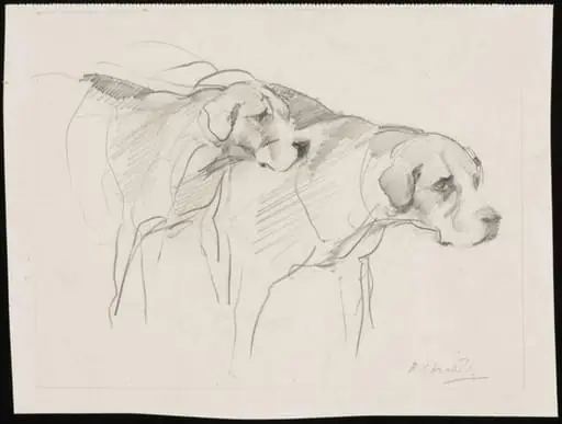 Two foxhounds