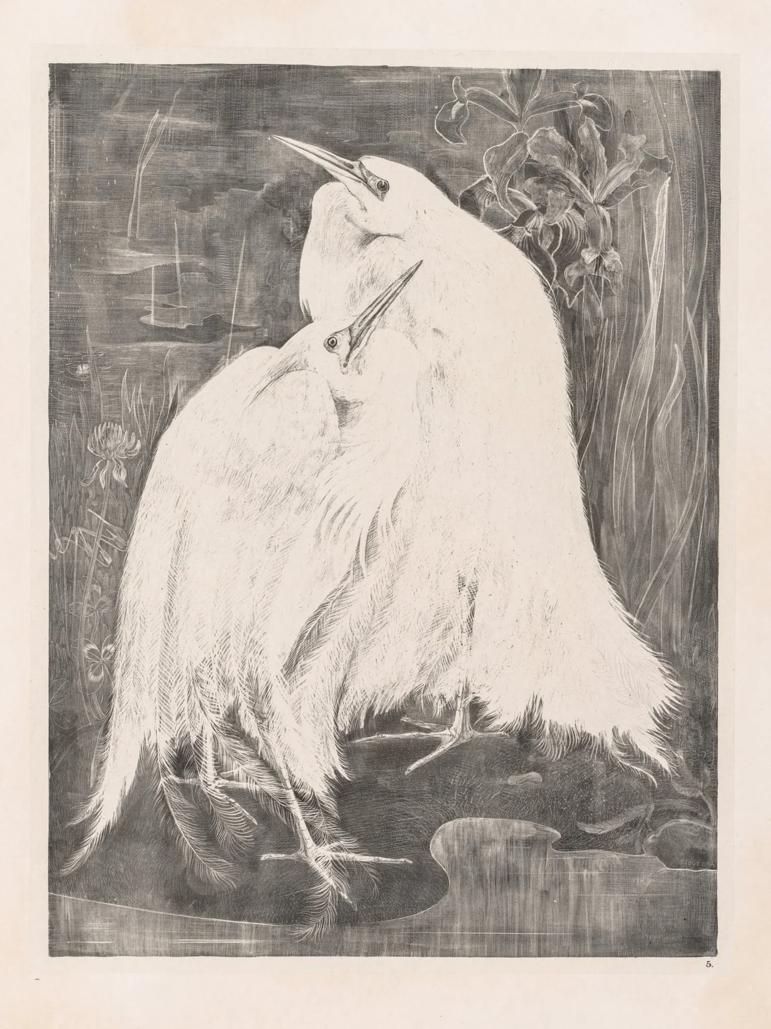Animal Studies: Two Silver Herons, by Theo van Hoytema, 1898