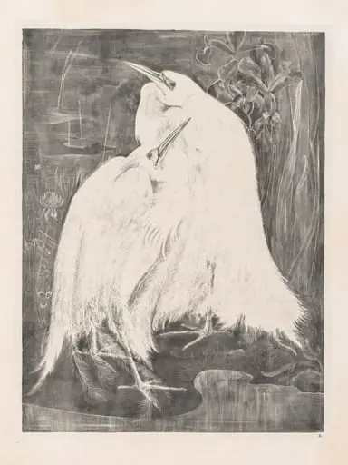 Animal Studies: Two Silver Herons