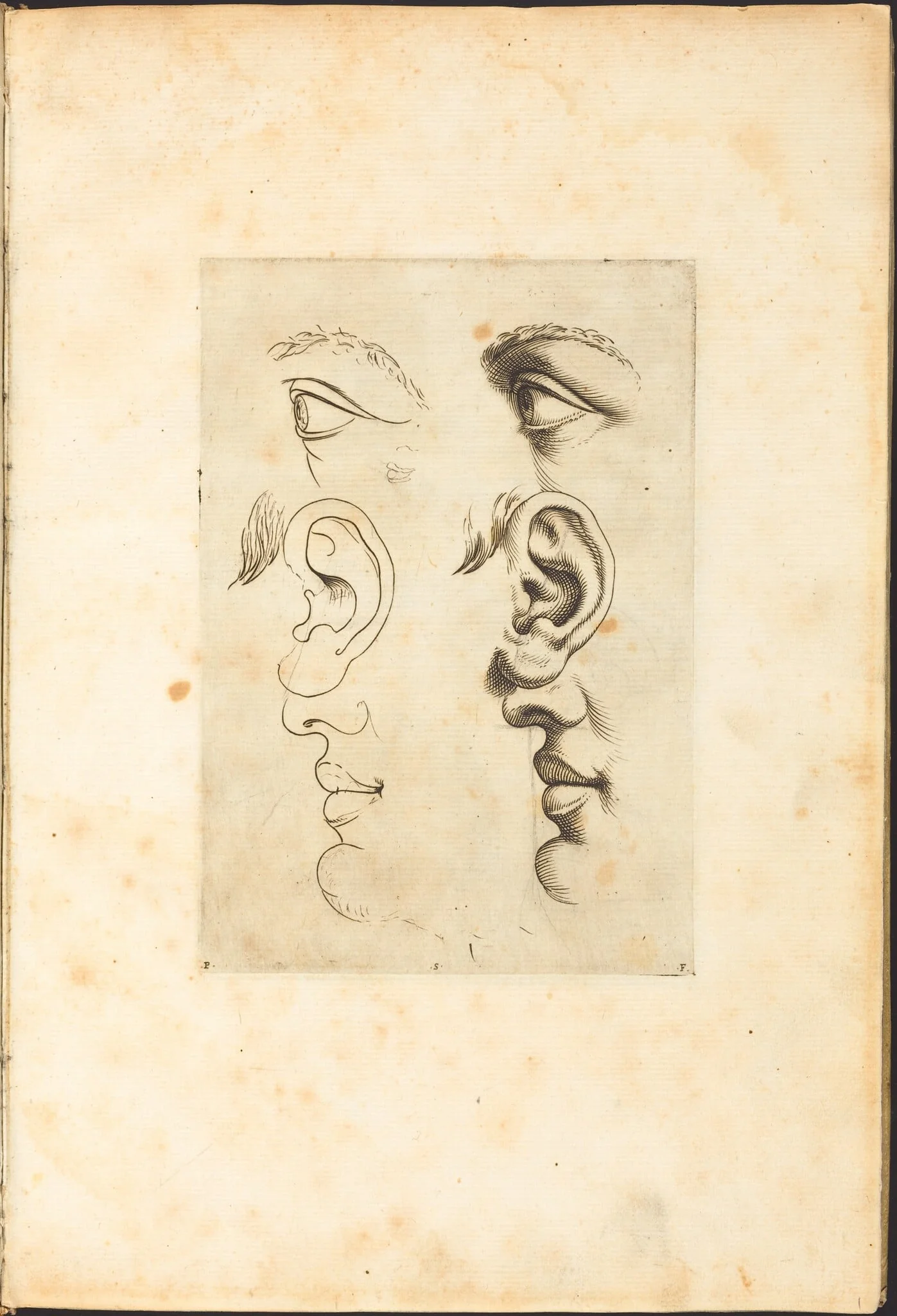 Print from Drawing Book, by Luca Ciamberlano, ink, 1615