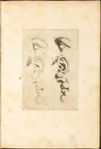 Print from Drawing Book