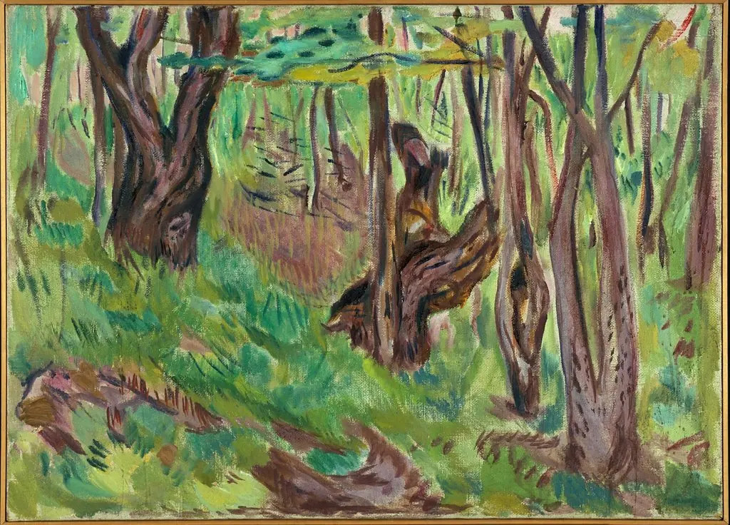 Rugged Tree Trunks in Summer