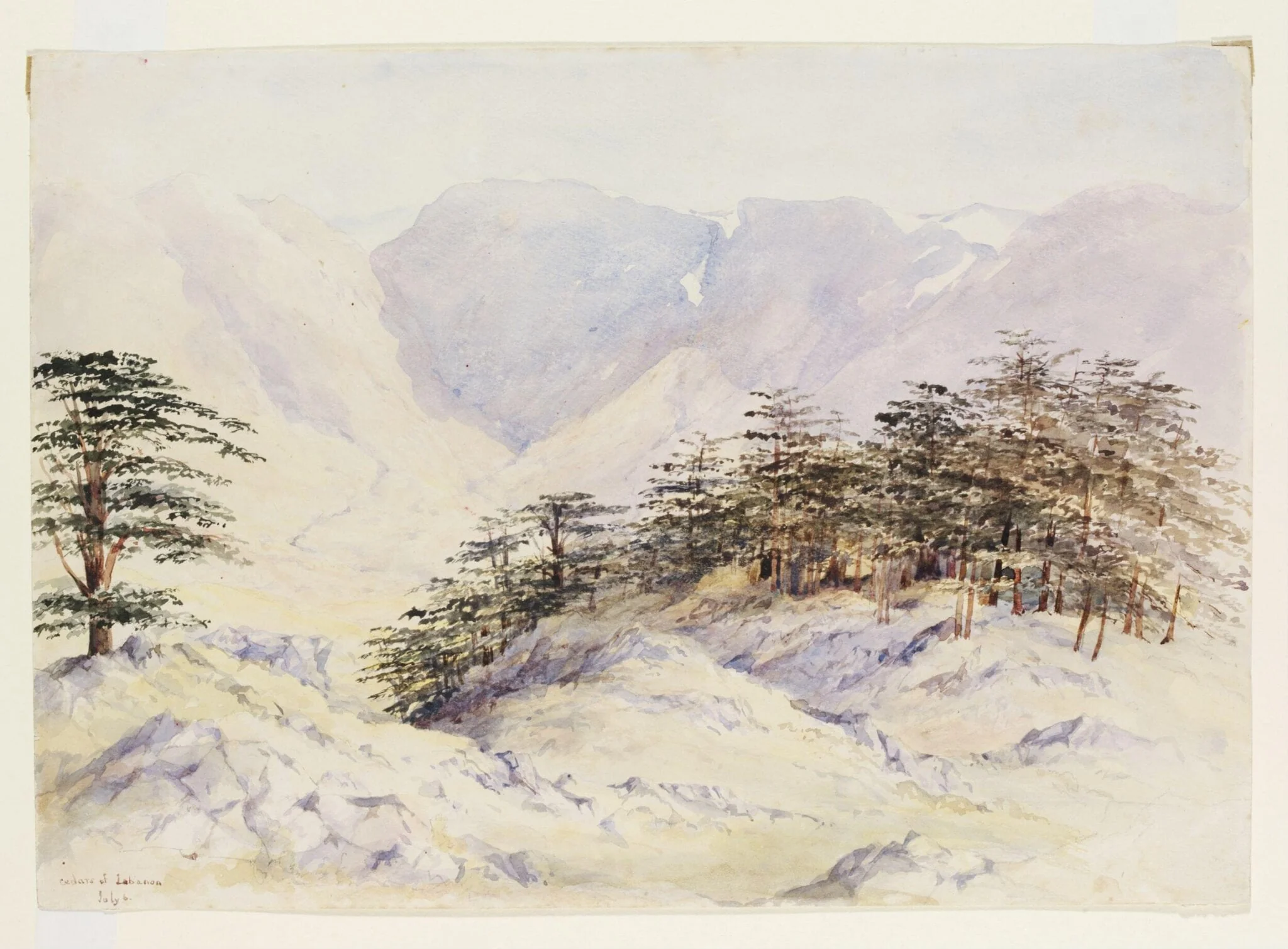 Cedars of Lebanon, by Maria Harriett Mathias, watercolor, 1857