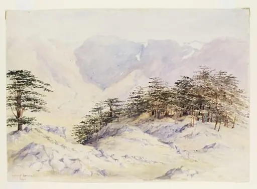Cedars of Lebanon