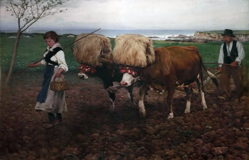 Plowing the land (Asturias)