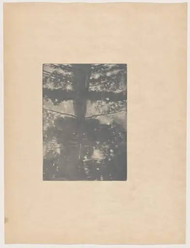 Paysage (Landscape)