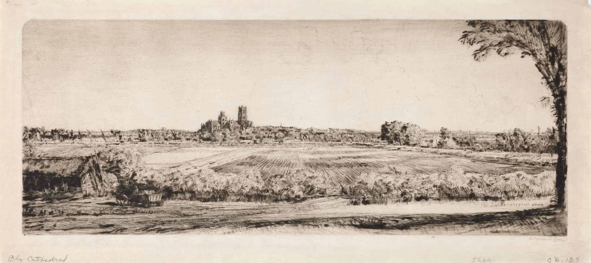 Ely Cathedral, by Muirhead Bone, 1903
