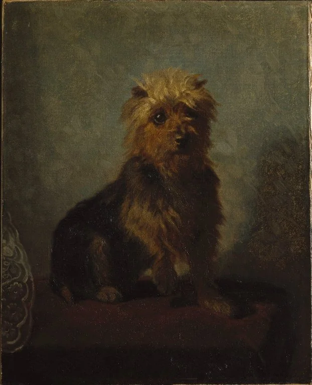 Chadwick's Dog, by Abbott Handerson Thayer, oil, 1874
