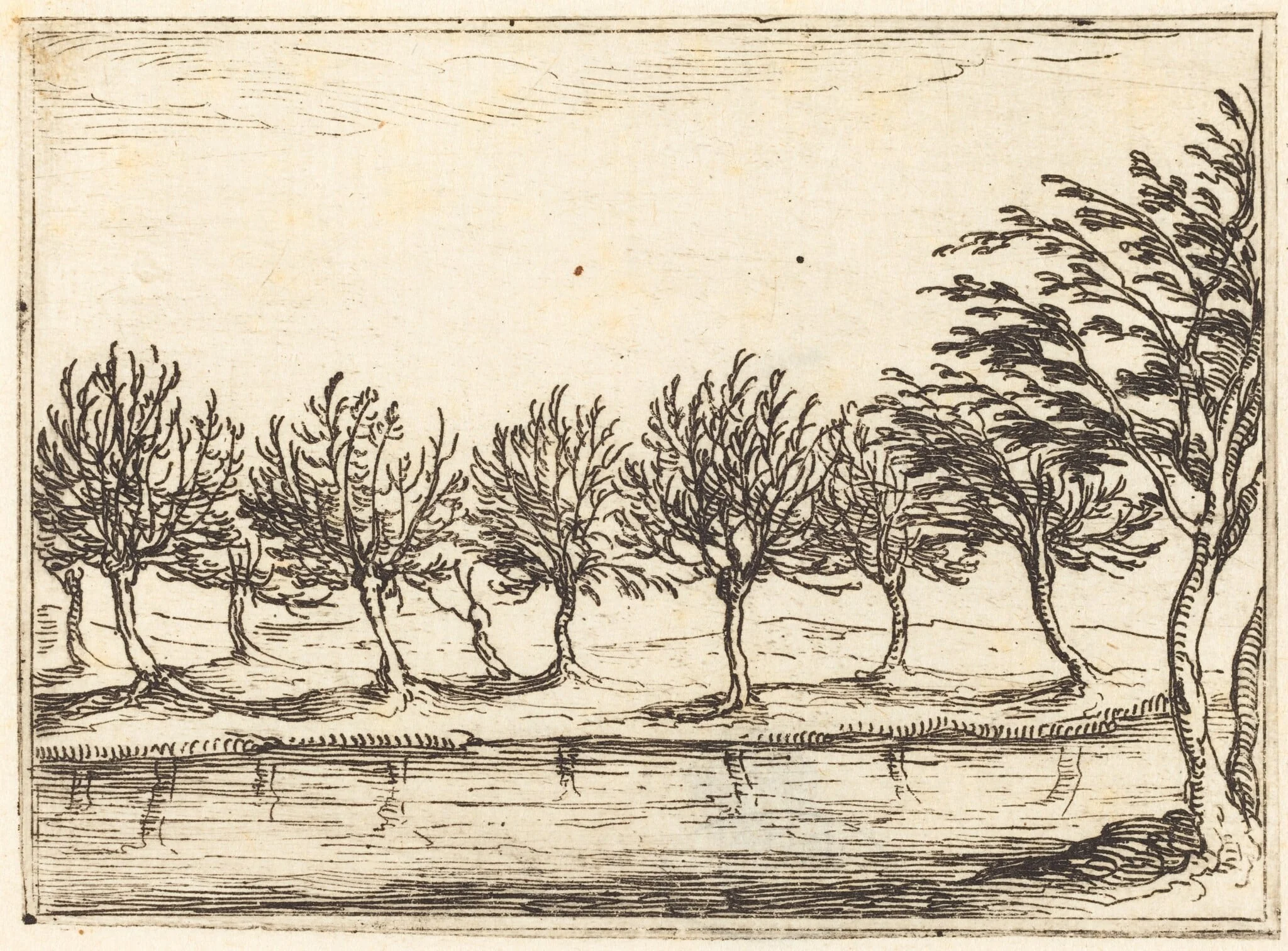 Willows by the Water's Edge, by Jacques Callot, ink, 1628