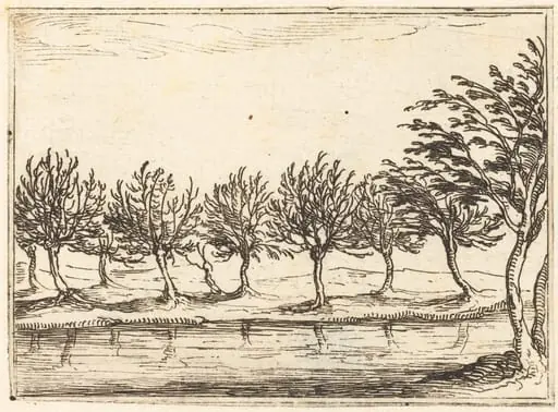 Willows by the Water's Edge