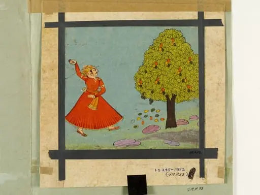 A man hurling stones at a mango tree.