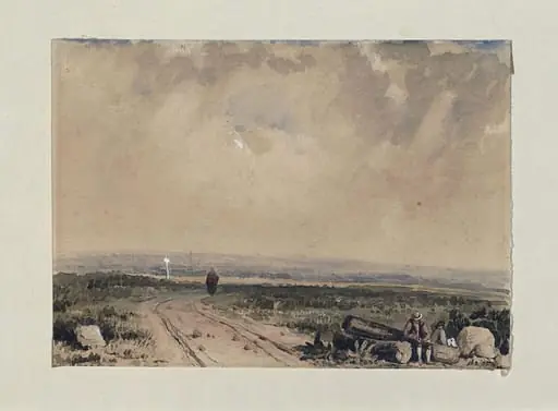 A heath traversed by a winding road