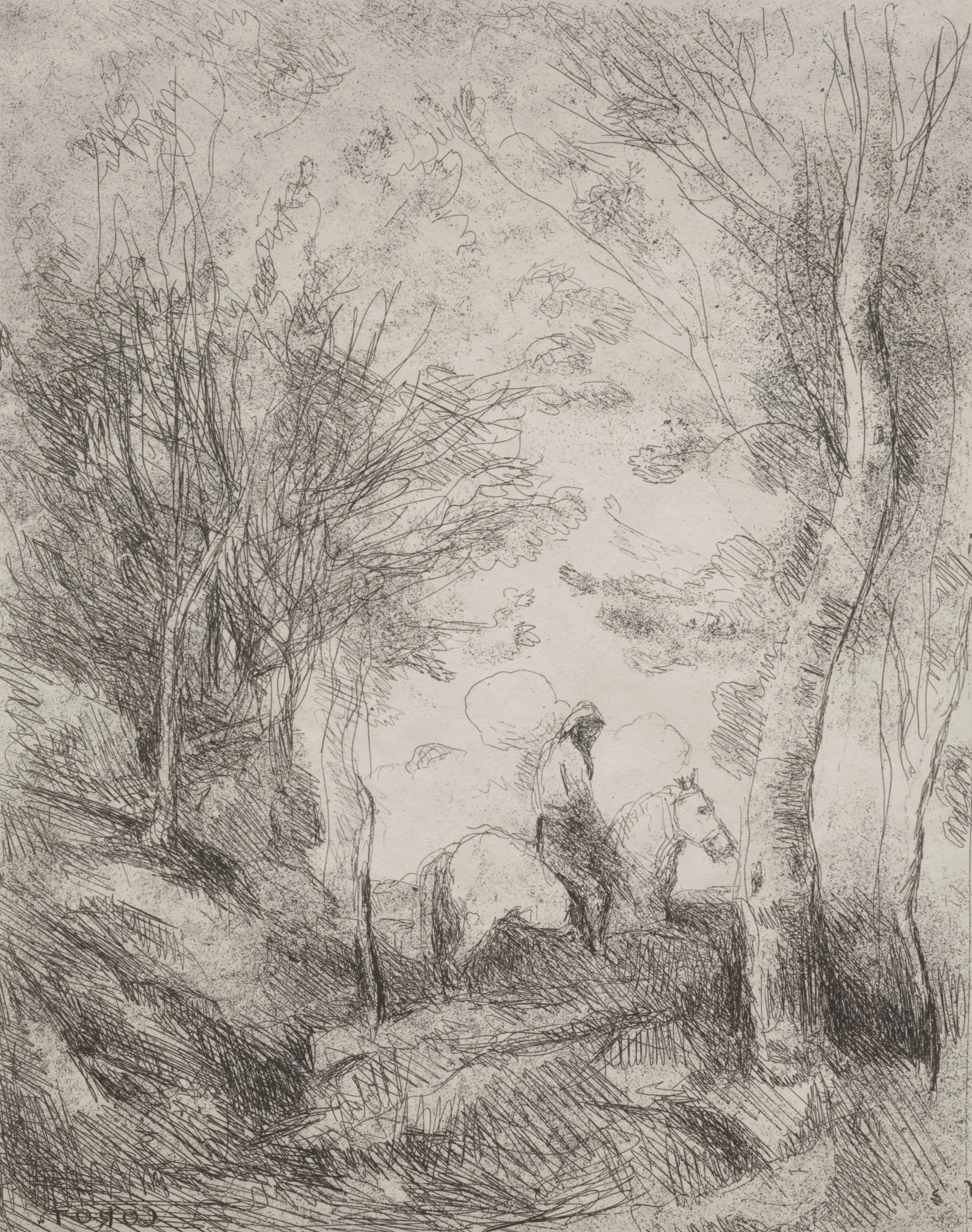 The Great Cavalier in the Wood