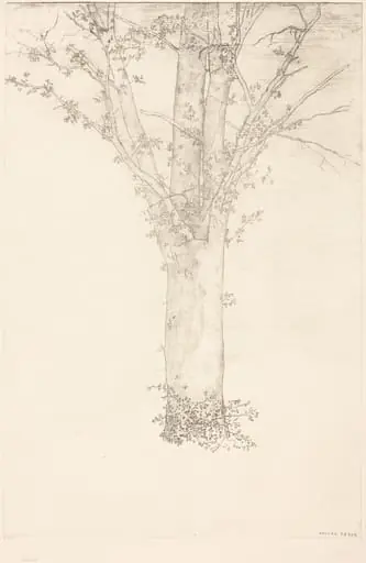 Arbre (Tree)