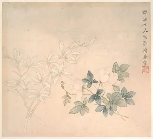 清  惲冰   花卉圖   册页|Flower Study