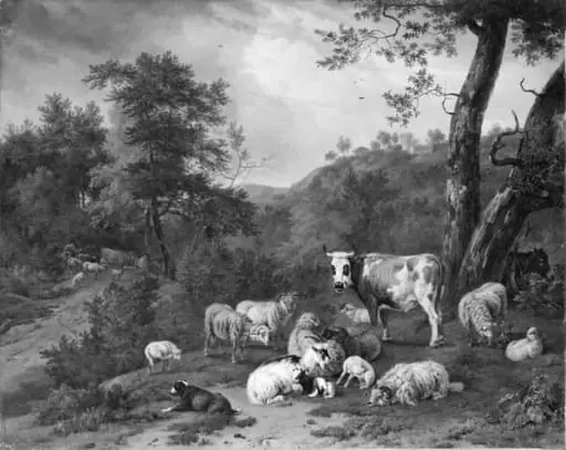 Wooded Country with Cattle