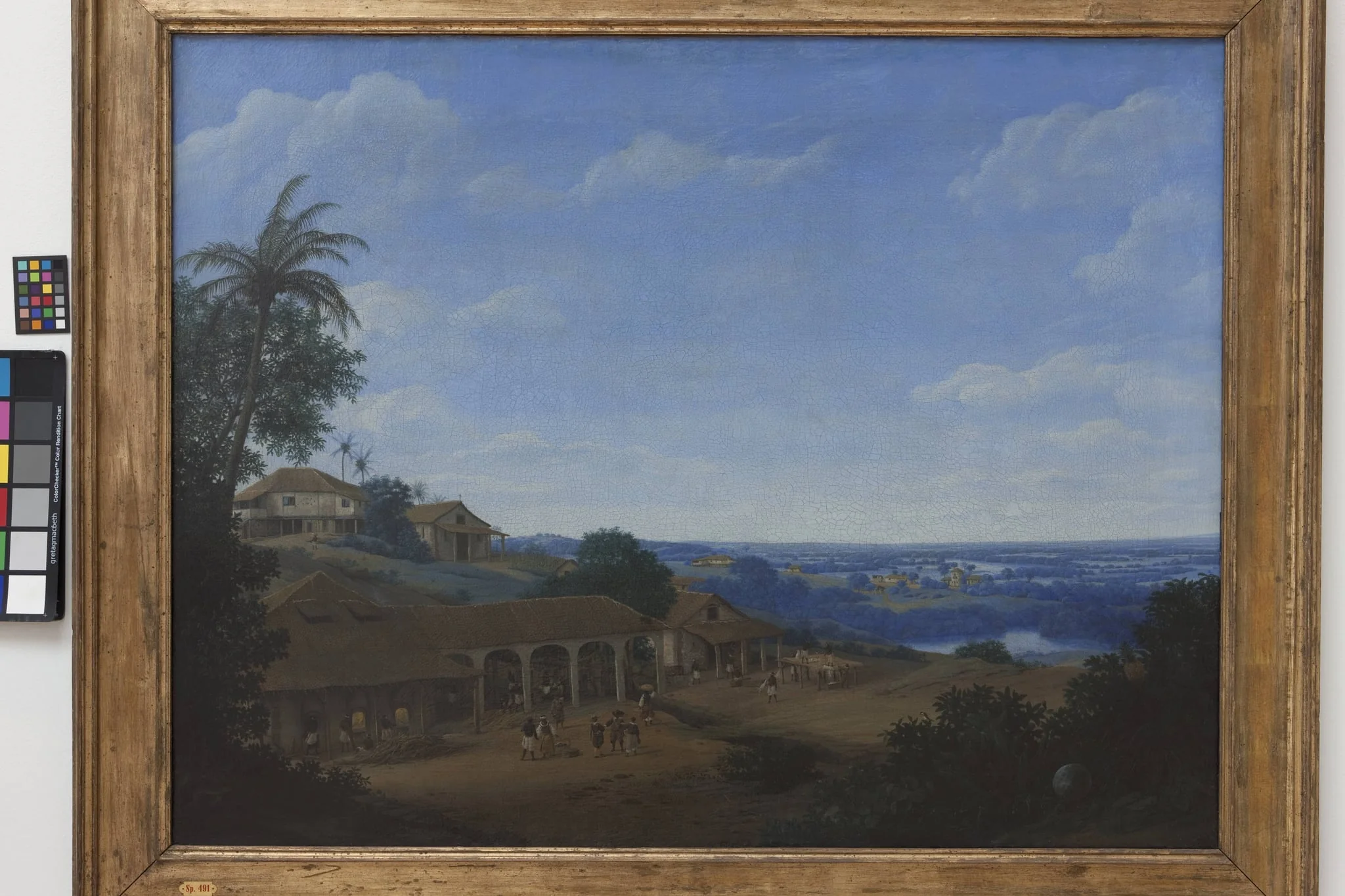 Landscape in Brazil with Sugar Plantation