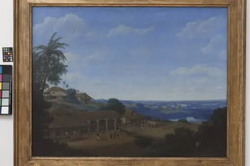 Landscape in Brazil with Sugar Plantation