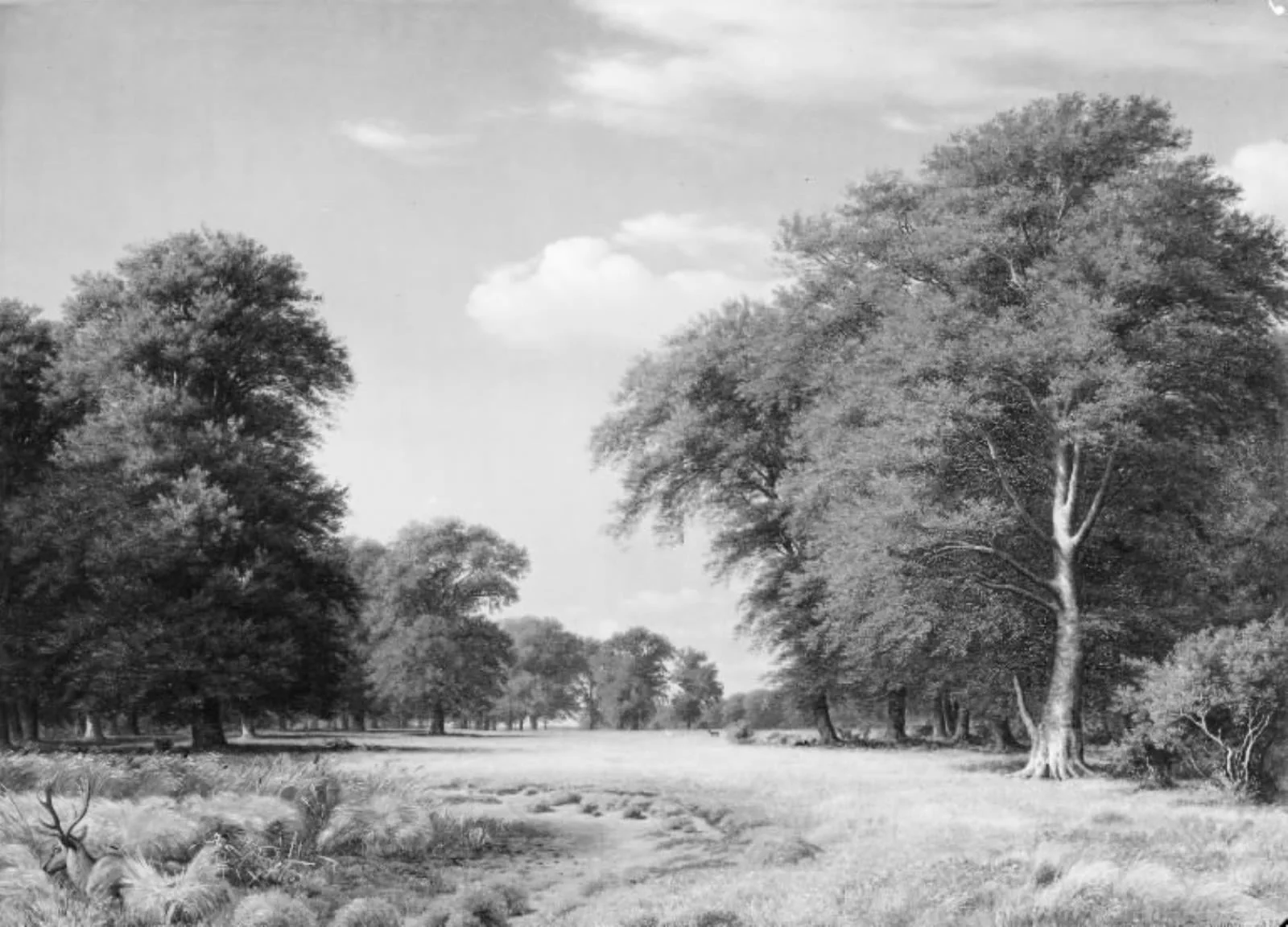 A Summer's Day in the Jægersborg Deer Park, North of Copenhagen
