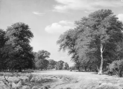 A Summer's Day in the Jægersborg Deer Park, North of Copenhagen