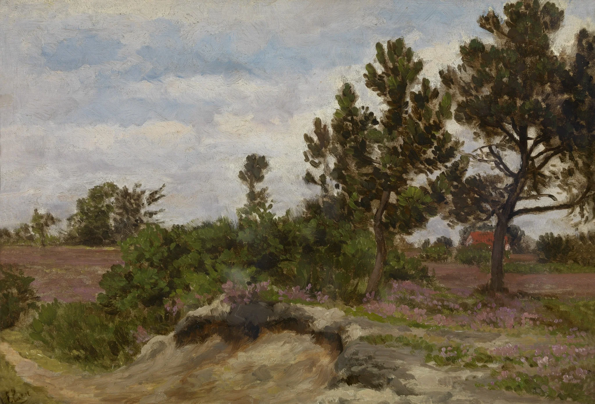 A Dune Landscape