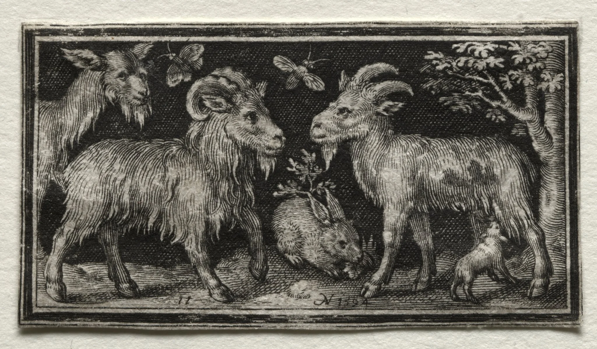 Goats and Hare, by Nicolaes de Bruyn, 1594