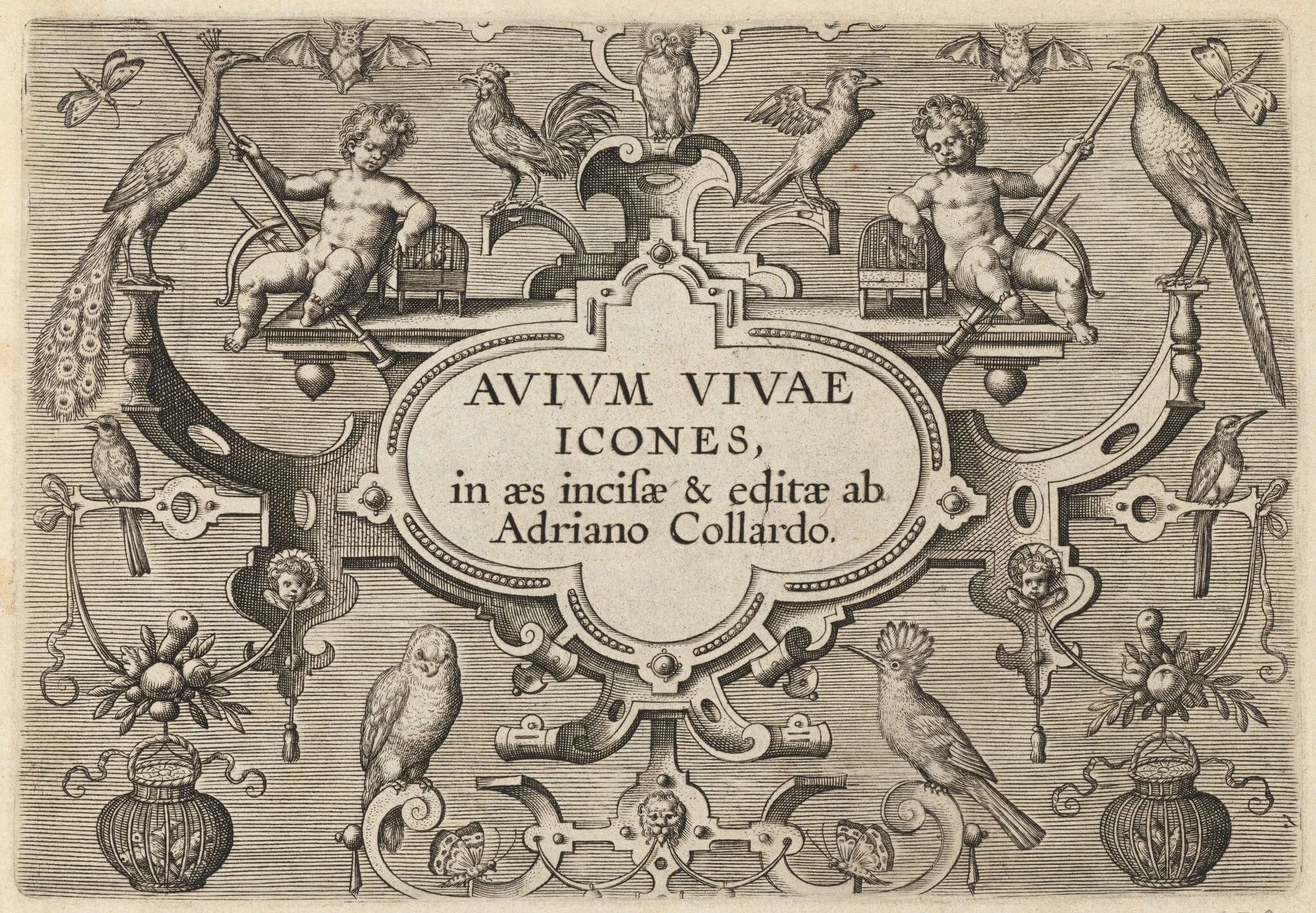 Title Page, by Adriaen Collaert, ink, 1600
