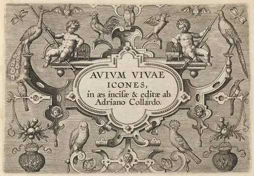 Title Page