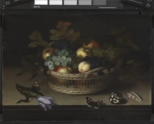 Still Life