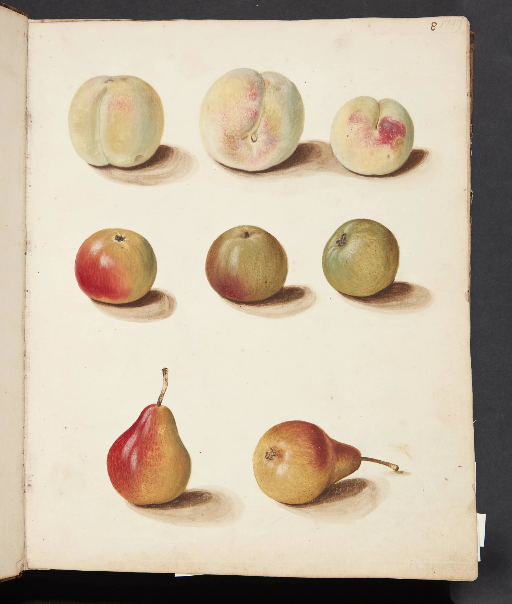 Studie af fersken, æble og pære, by Unknown, unspecified, 1749