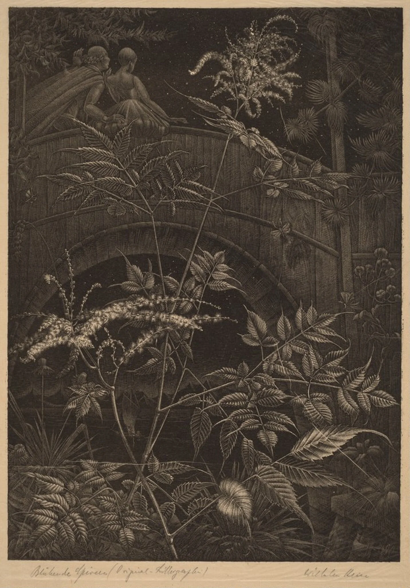Blühende Spireen (Blooming Spiraea), by Wilhelm Heise, ink, 1925