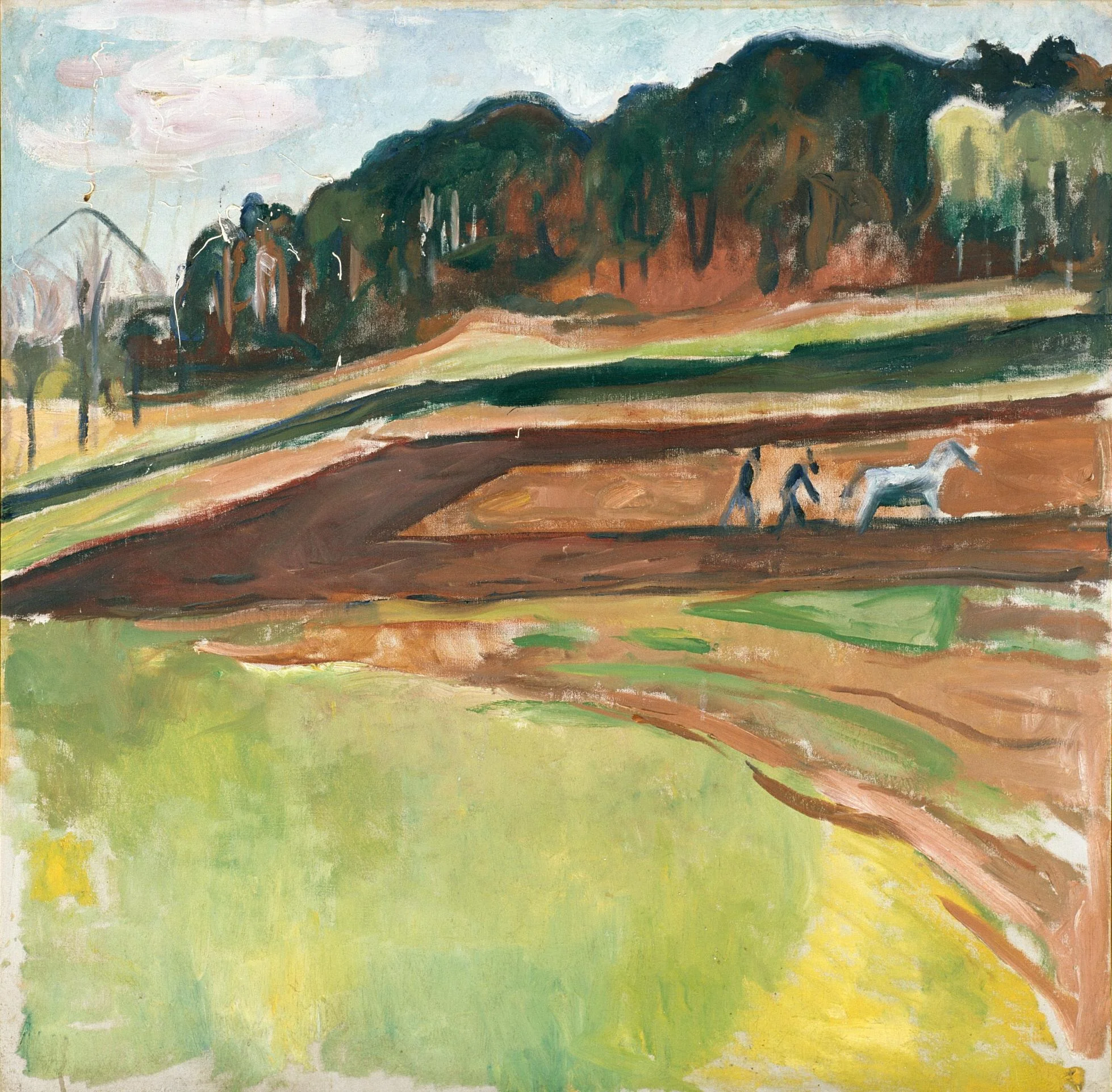 Ploughed Field