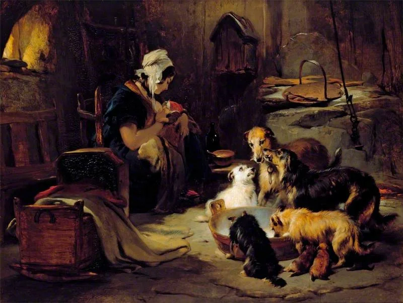 A Highland Breakfast