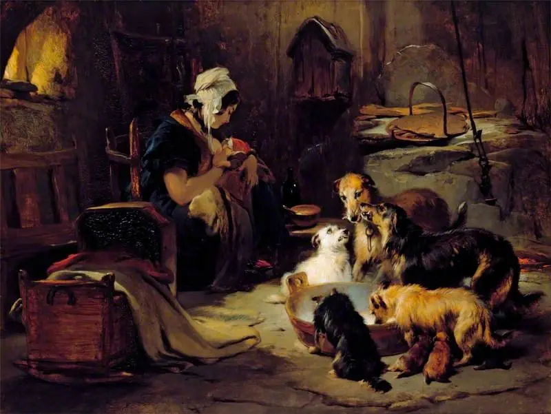 A Highland Breakfast