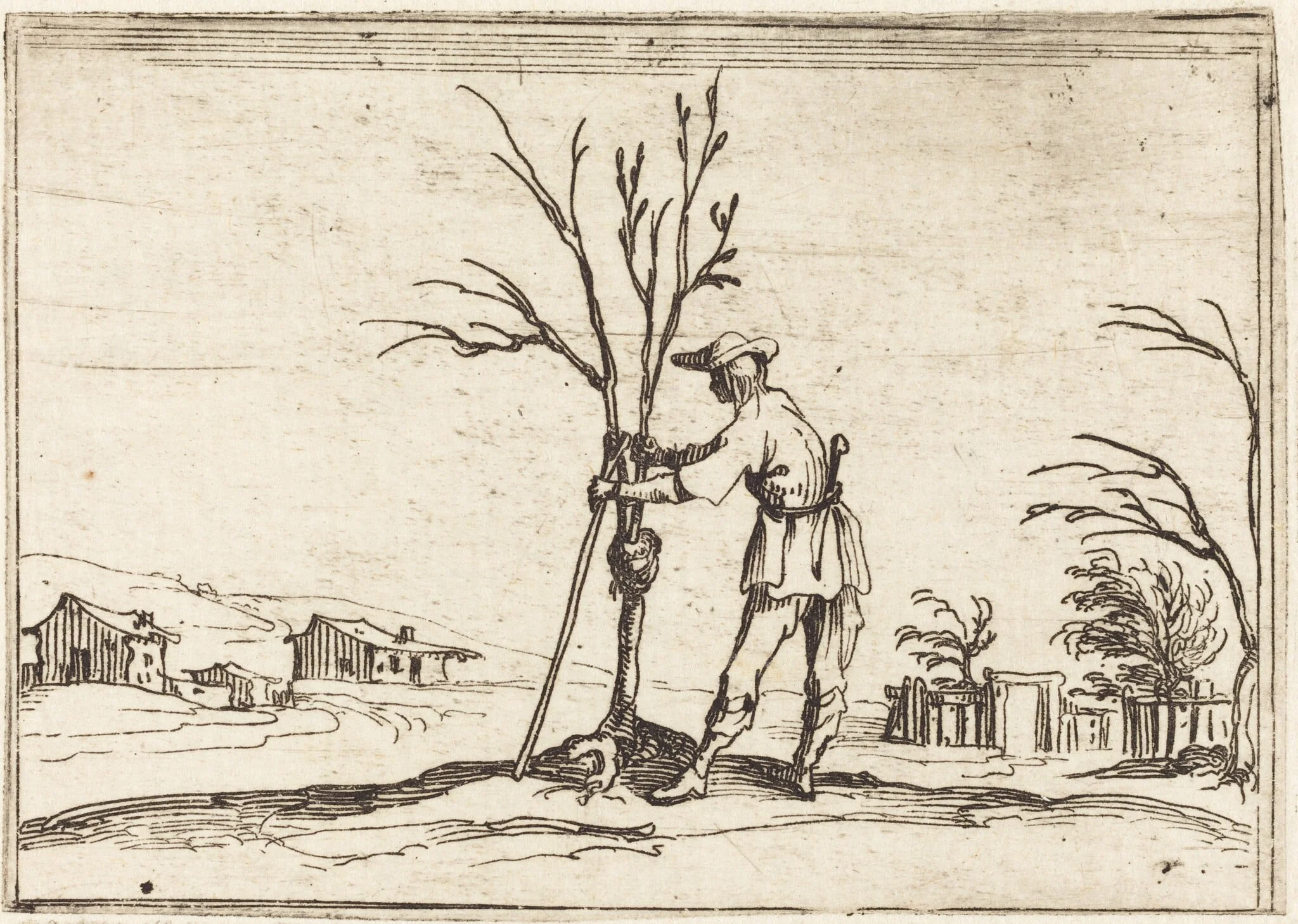 Gardener Pruning a Tree, by Jacques Callot, ink, 1628