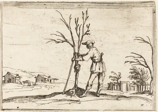 Gardener Pruning a Tree