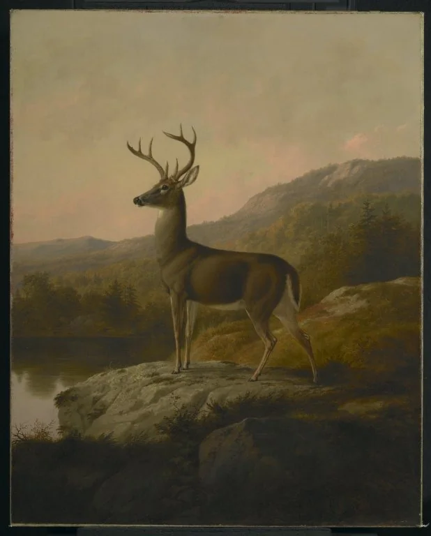 Deer, by Thomas Hewes Hinckley, oil, 1855