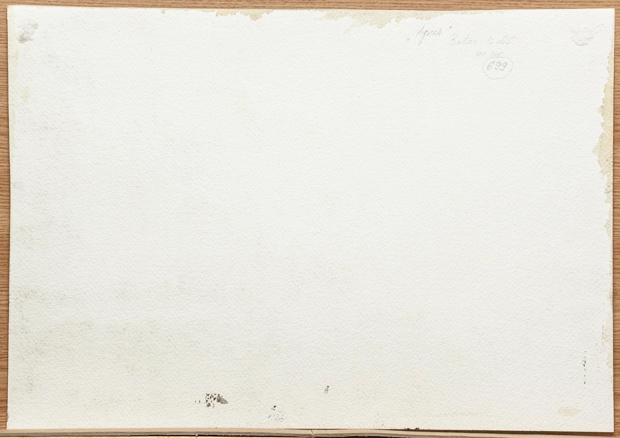Apus, by Edith Botar, 1950