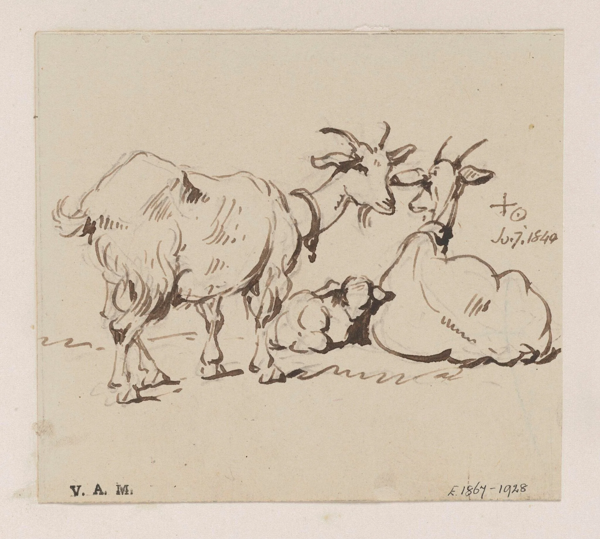 Two goats and a kid, by George Chinnery, 7