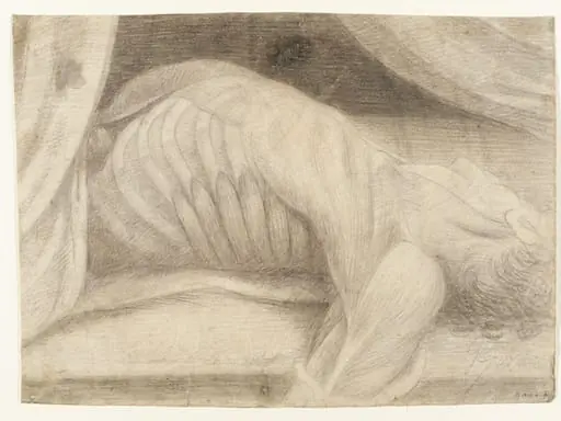 Half-length anatomical study of a man, drawn from a dissected corpse