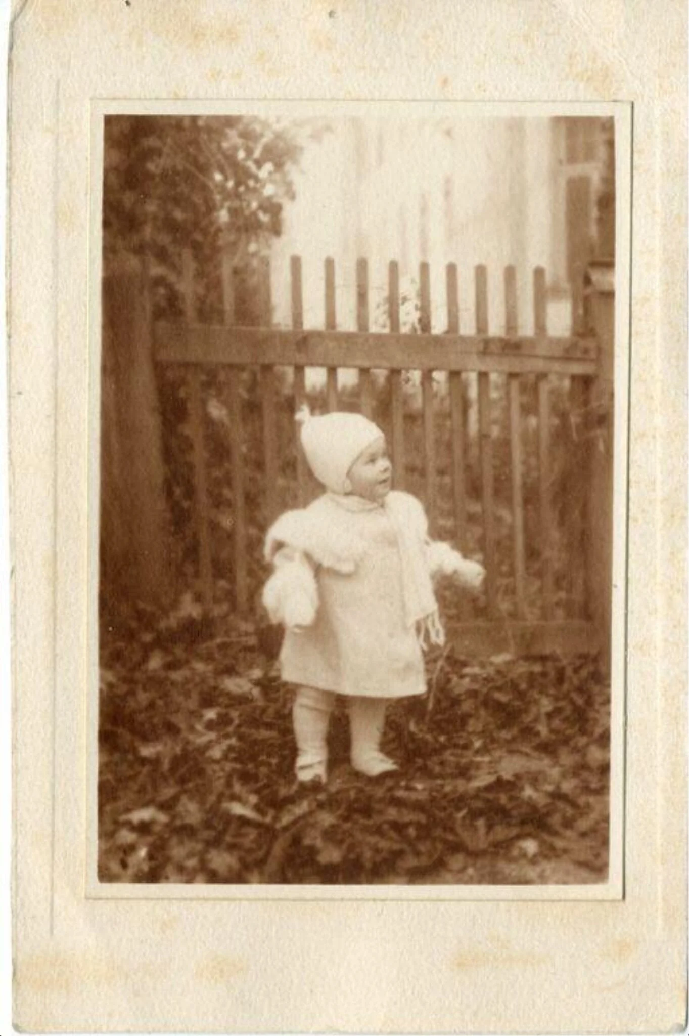 Photograph