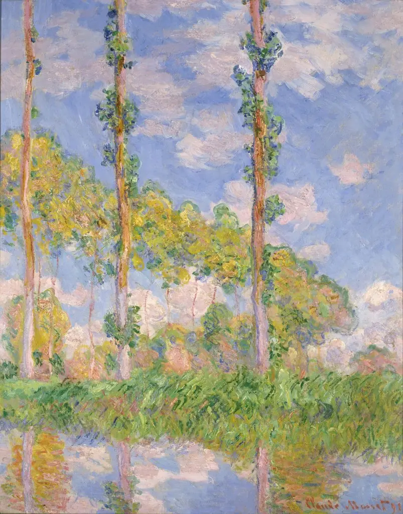 Poplars in the Sun