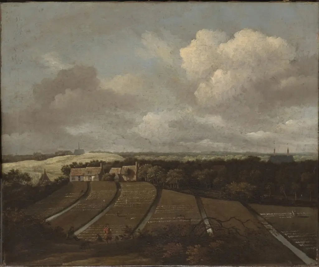 Dunes near Haarlem