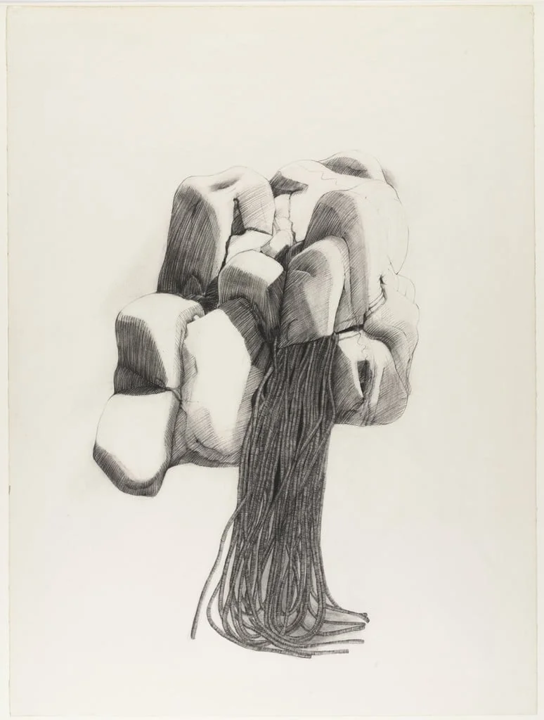 Untitled, by Barbara Chase-Riboud, charcoal, 1971