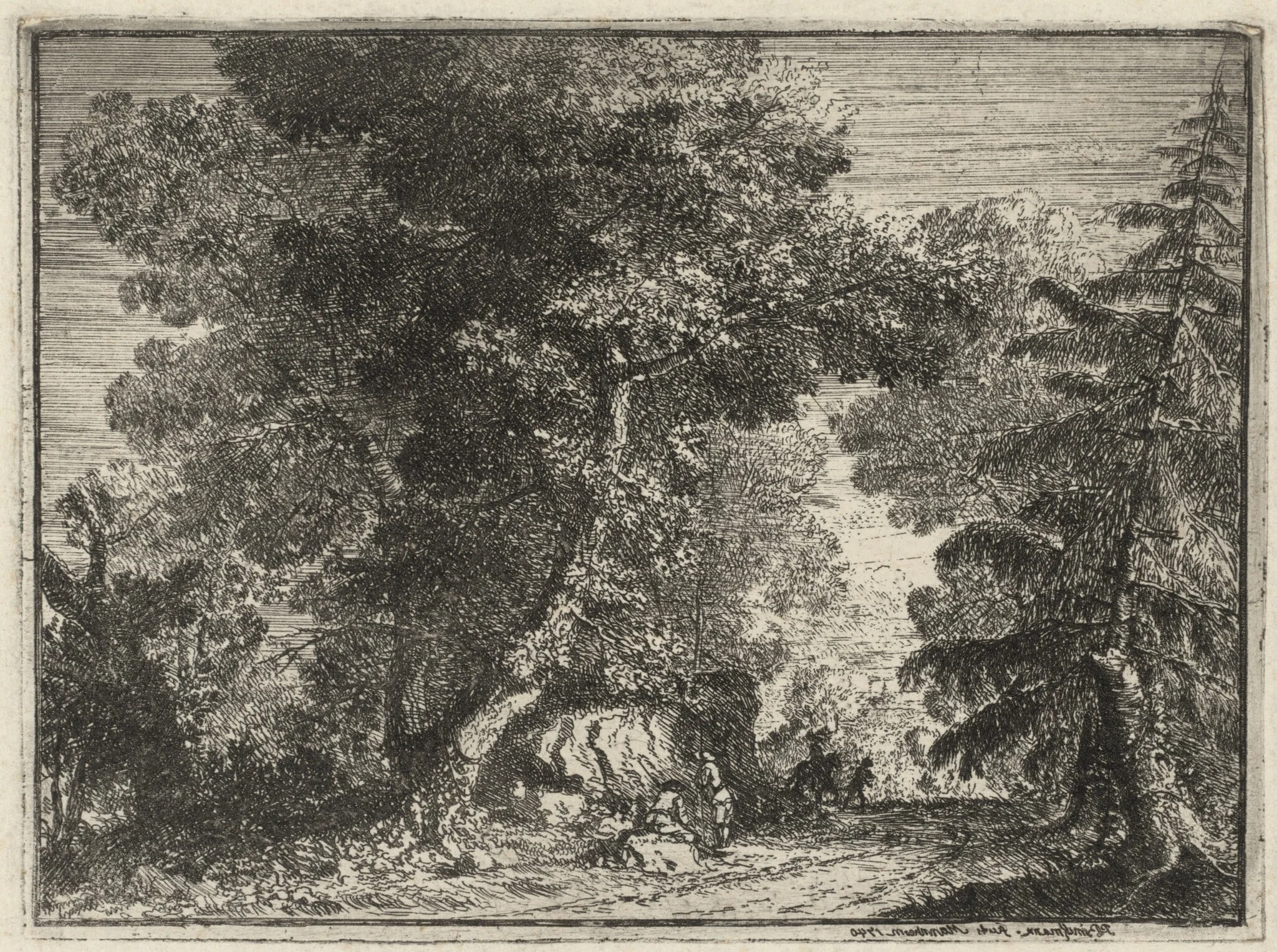 A Road through the Woods