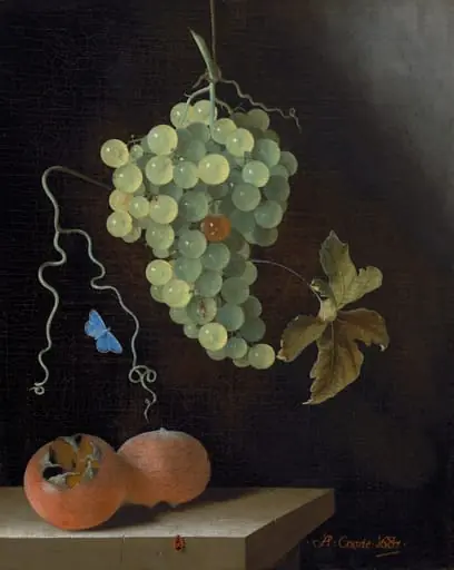 Still Life with a Hanging Bunch of Grapes, Two Medlars, and a Butterfly